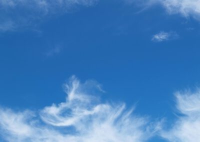 28.02. – Bernardo Schmitt & Team: Das übernatürliche Leben